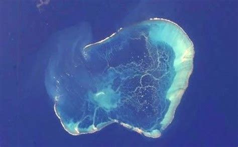 hermes pearl|pearl and hermes atoll hawaii.